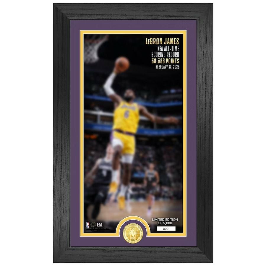 NBA LeBron James 記念品 レブロン　キャブス　レイカーズ NBA レブロン・ジェームズ レイカーズ グッズ ブロンズコイン フォト