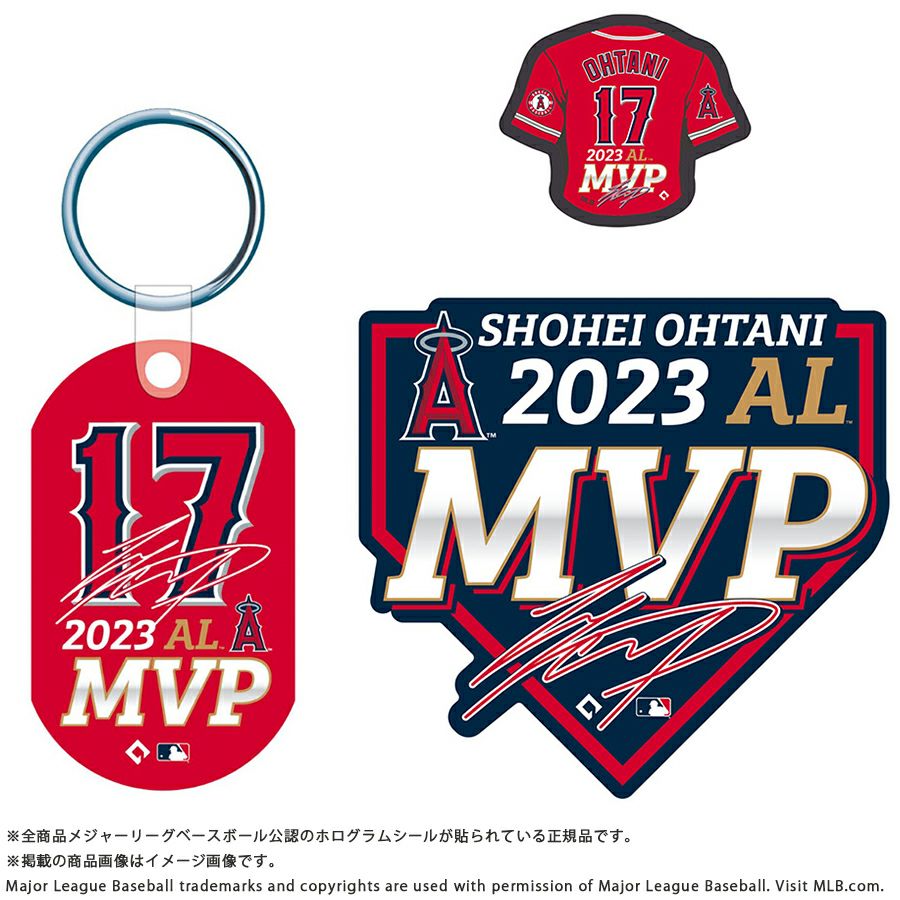 MLB 大谷翔平 エンゼルス フォトフレーム 2023 ア・リーグ MVP 実使用