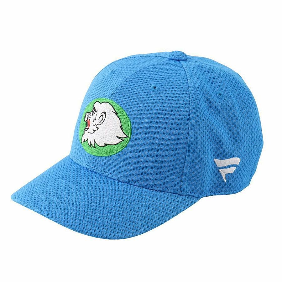 西武ライオンズ ナイキ メッシュキャップ 復刻 中古・古着通販】NIKE (ナイキ) 太平洋クラブライオンズ復刻メッシュ