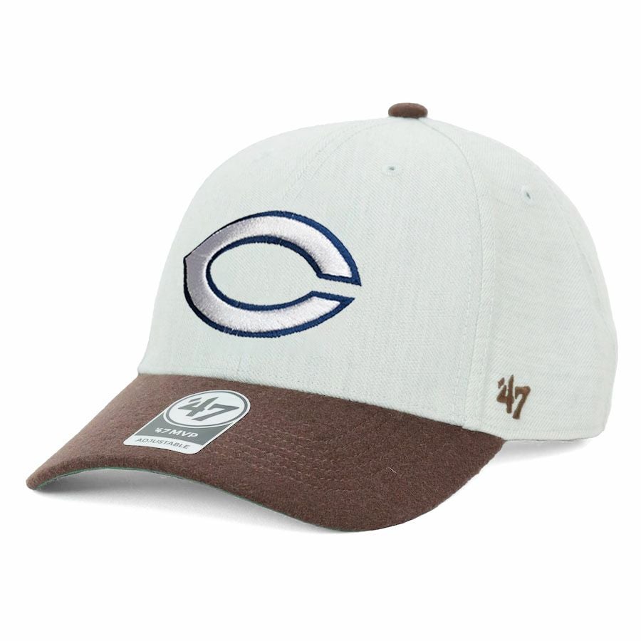 激レア 稀少デザイン カープ ニューエラ 9FIFTY キャップ carp 激レア 稀少デザイン カープ ニューエラ 9FIFTY キャップ carp