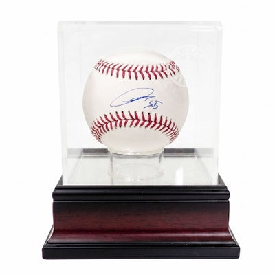MLB フアン・ソト ナショナルズ バッド 直筆サイン バット Rawlings 