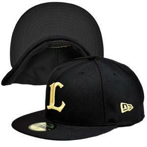 埼玉西武ライオンズ キャップ - プロ野球 | セレクション公式